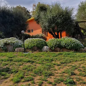 Stella Sulcitana Bed & Breakfast